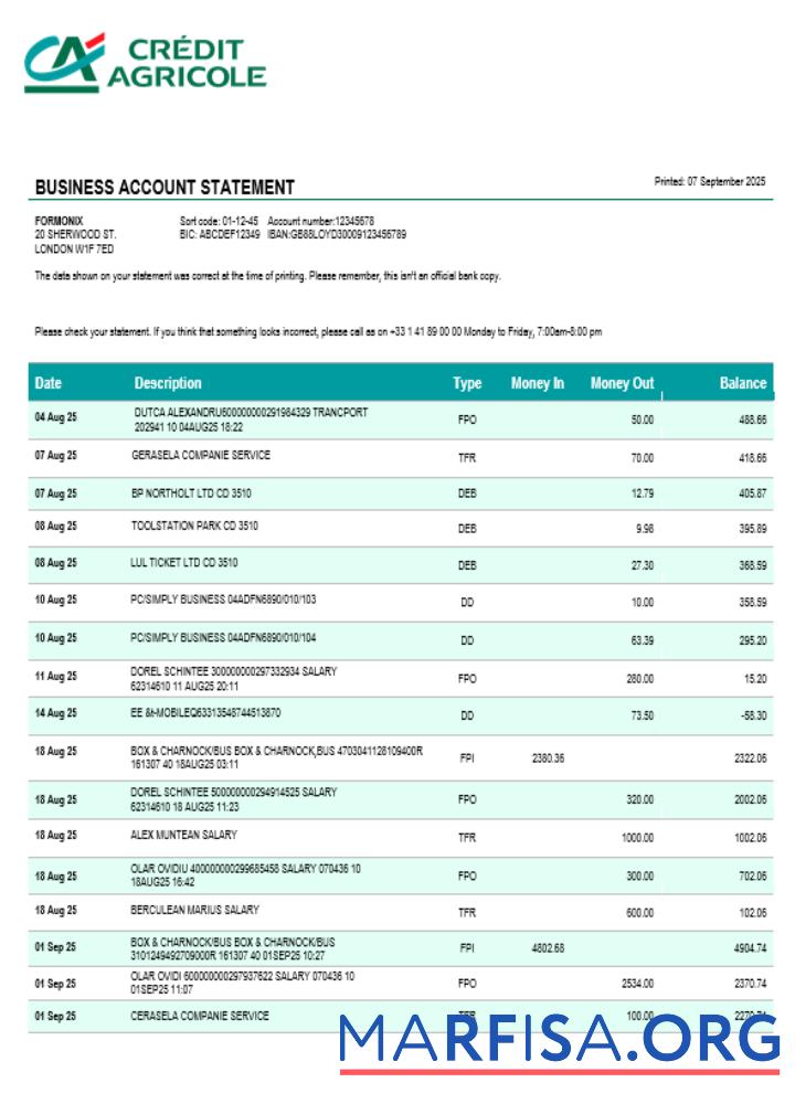 Blank Credite Agricole company checking account statement Word and PDF template